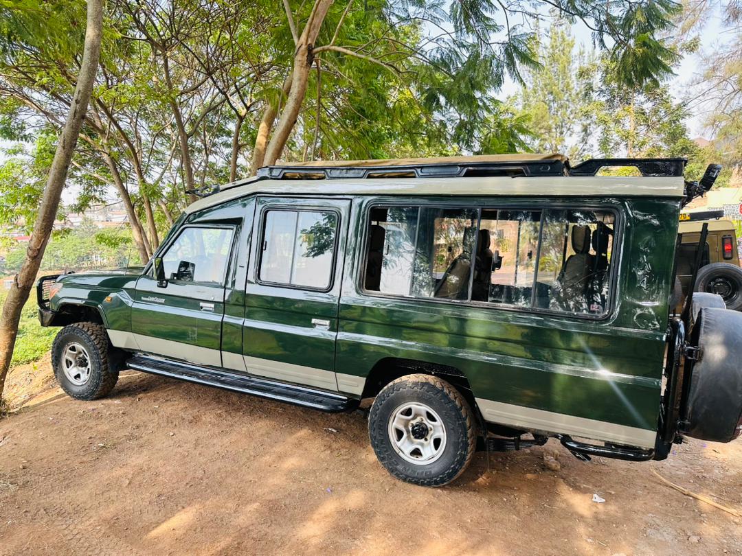 car rental