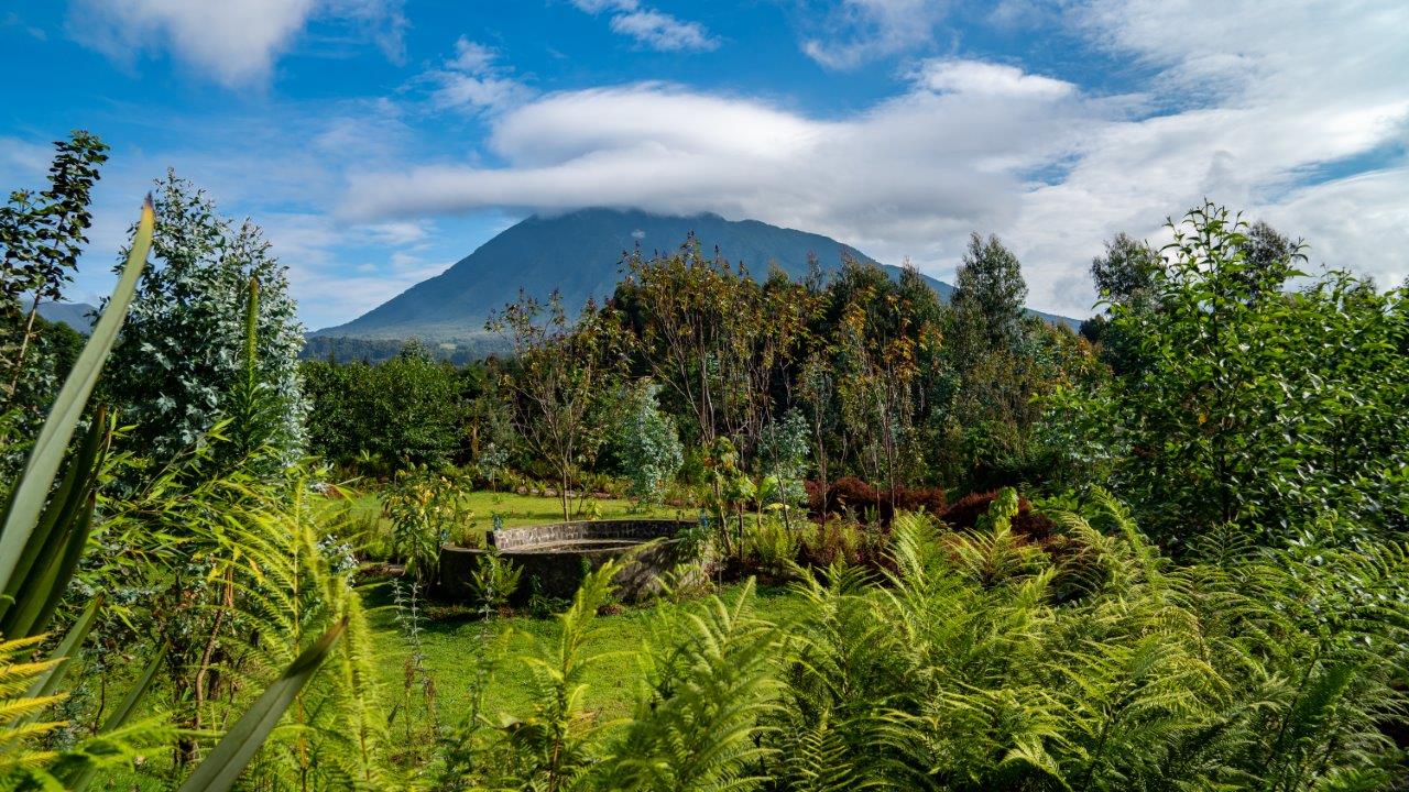 Volcano View