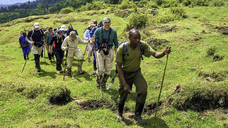 karisimbi hiking