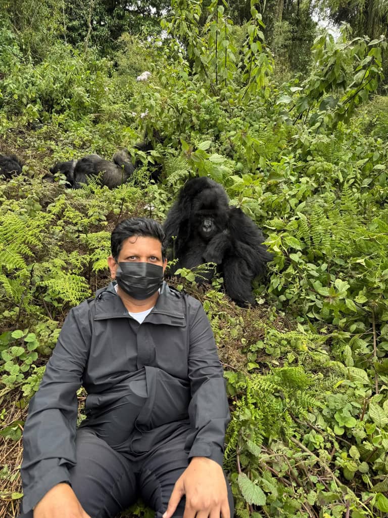 Great Apes of Rwanda & Uganda