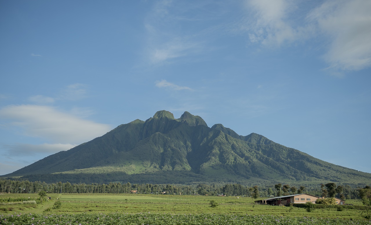 Volcanoes National Park Rwanda- Where Golden Monkey Treking take place 