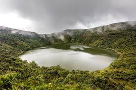 1 Day Mount Bisoke Hiking Tour from Kigali | Best Volcanoes National Park Rwanda Hiking Adventure.